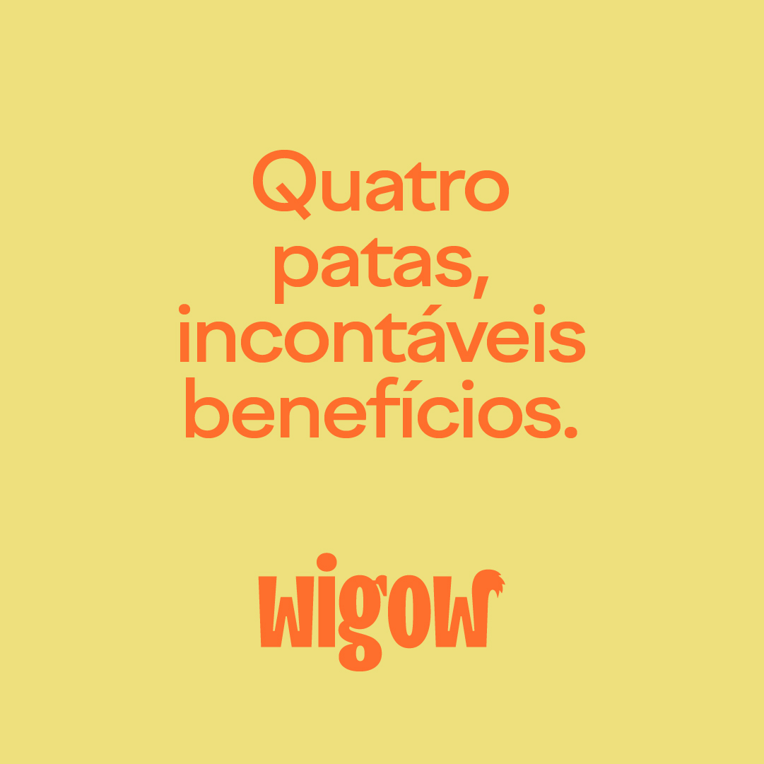 Wigow_Feed_04