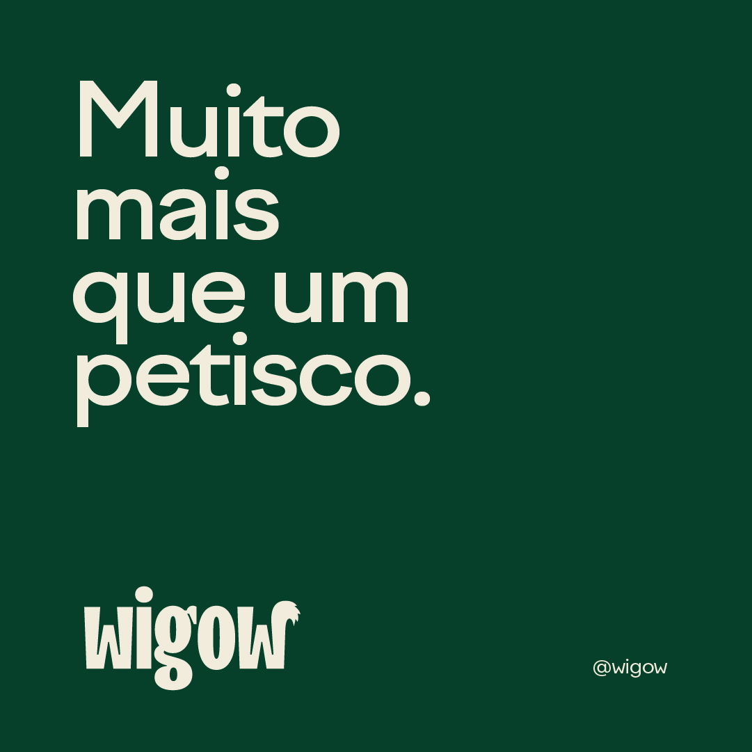 Wigow_Feed_06