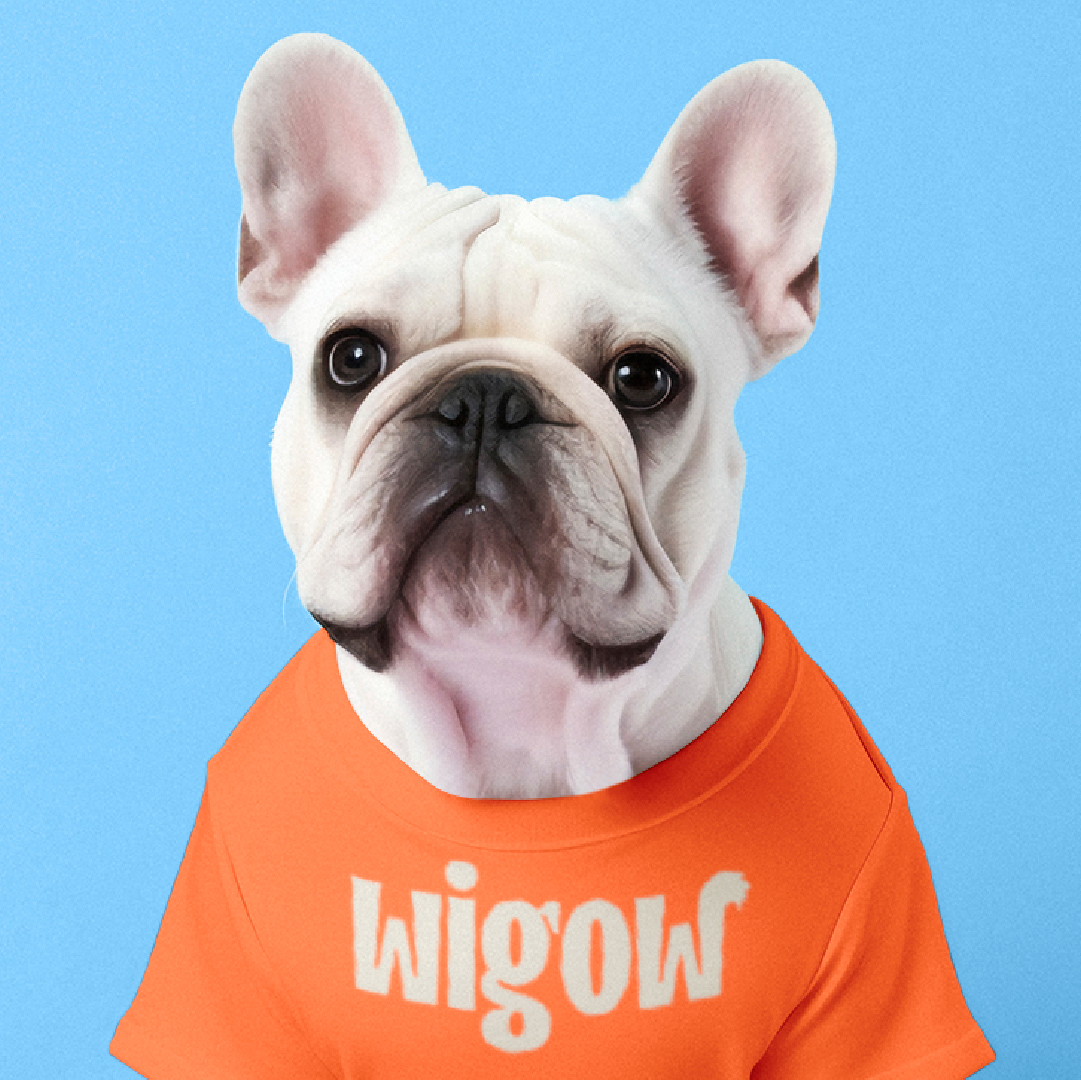 Wigow_Feed_08