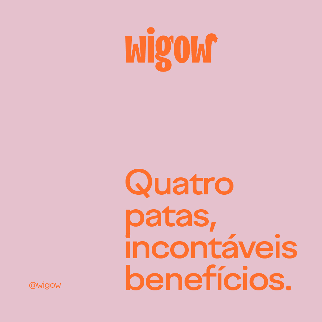 Wigow_Feed_09